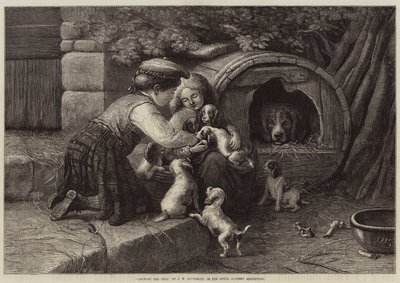 Amongst the Pets by John William Bottomley
